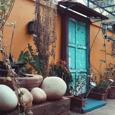 Secrets to create an amazing terrace garden
