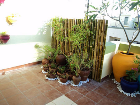 Terrace Gardening