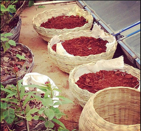Guide to Build a Terrace Garden
