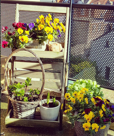 Easy Terrace Garden Ideas