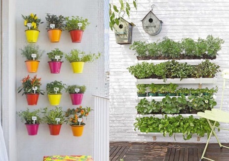 Balcony Gardening