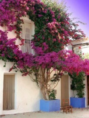 Home Wall Decoration