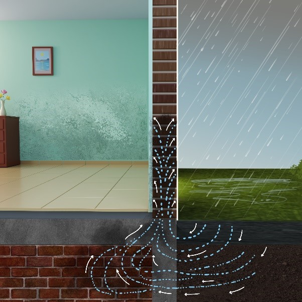 Causes of Efflorescence