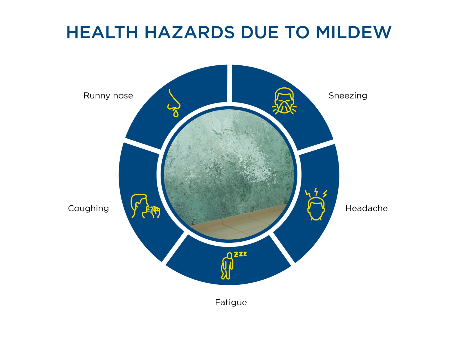 Understanding the Health Hazards of Mildew