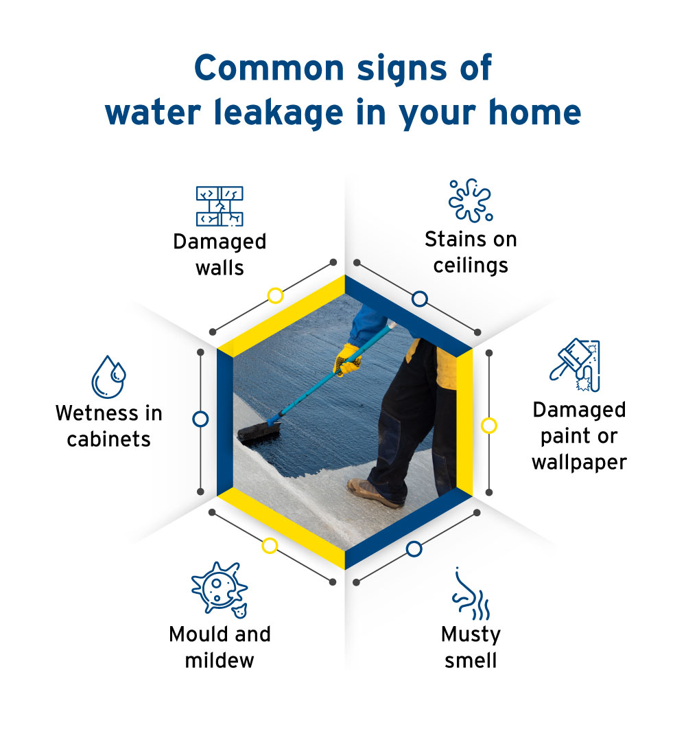 Common Areas of Water Leakage