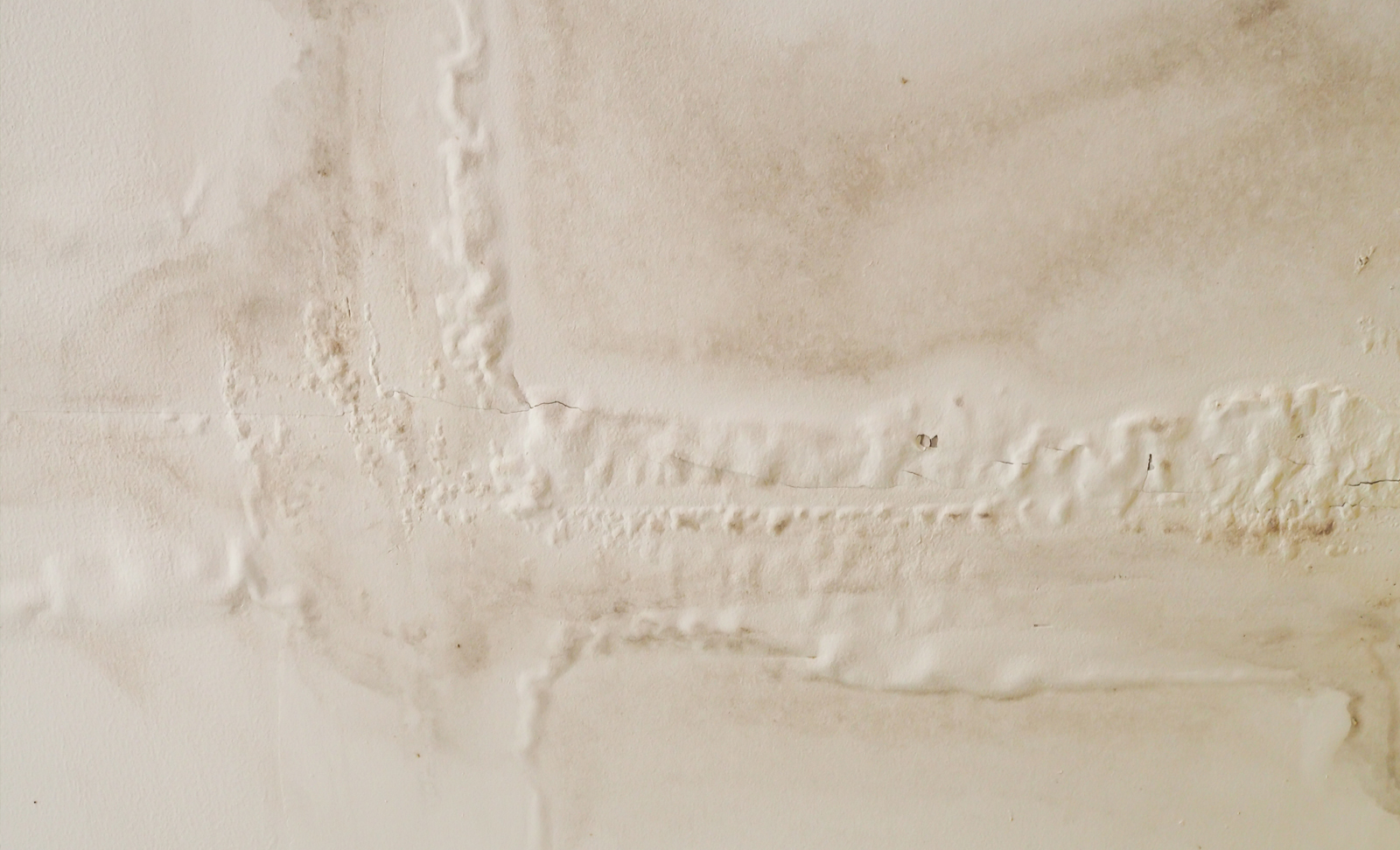 5 Effective Ways to Identify Water Leakage in Flats